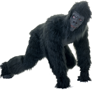 Gorilla